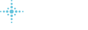 USDM Logo-Secondary-Light with blue star