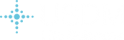 USDM Logo White