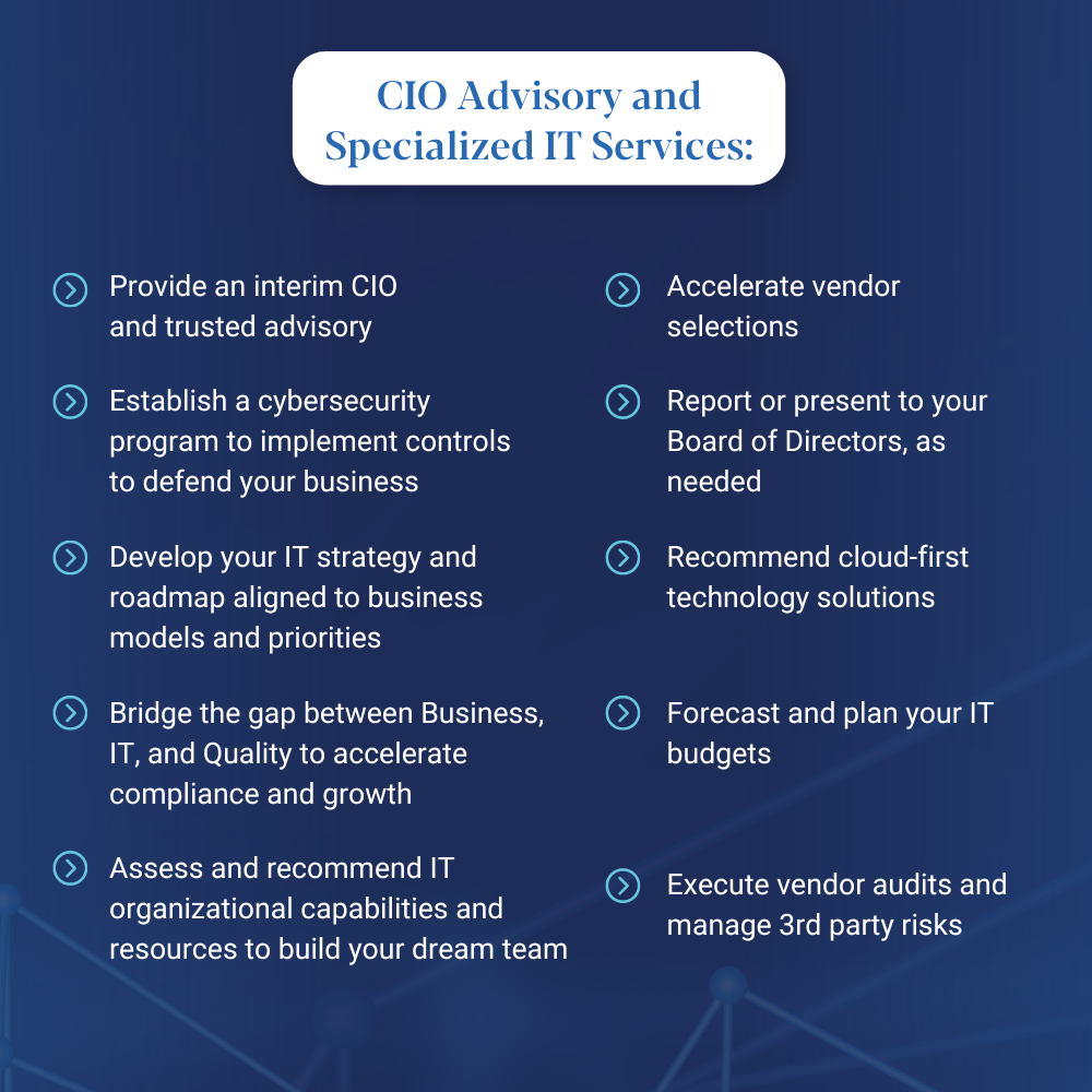CIO advisory and specialized IT services